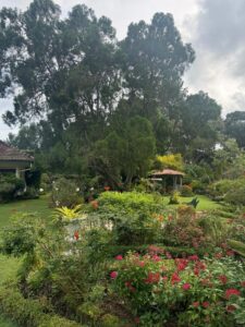Gardens
