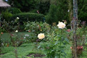 Gardens
