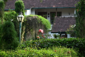 Gardens