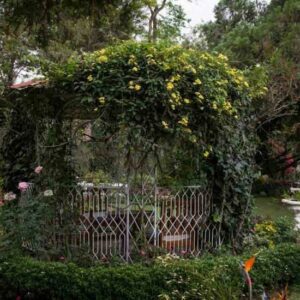 The Gardens