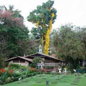 The Gardens