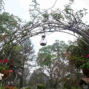 The Gardens