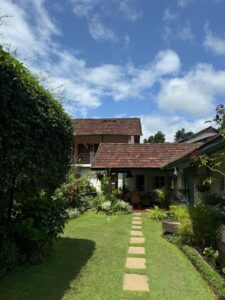Garden 3