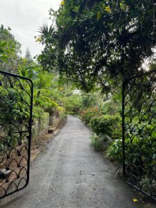 Garden 5