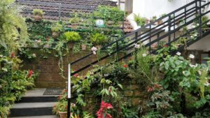 Garden 7