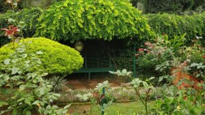 Garden 8